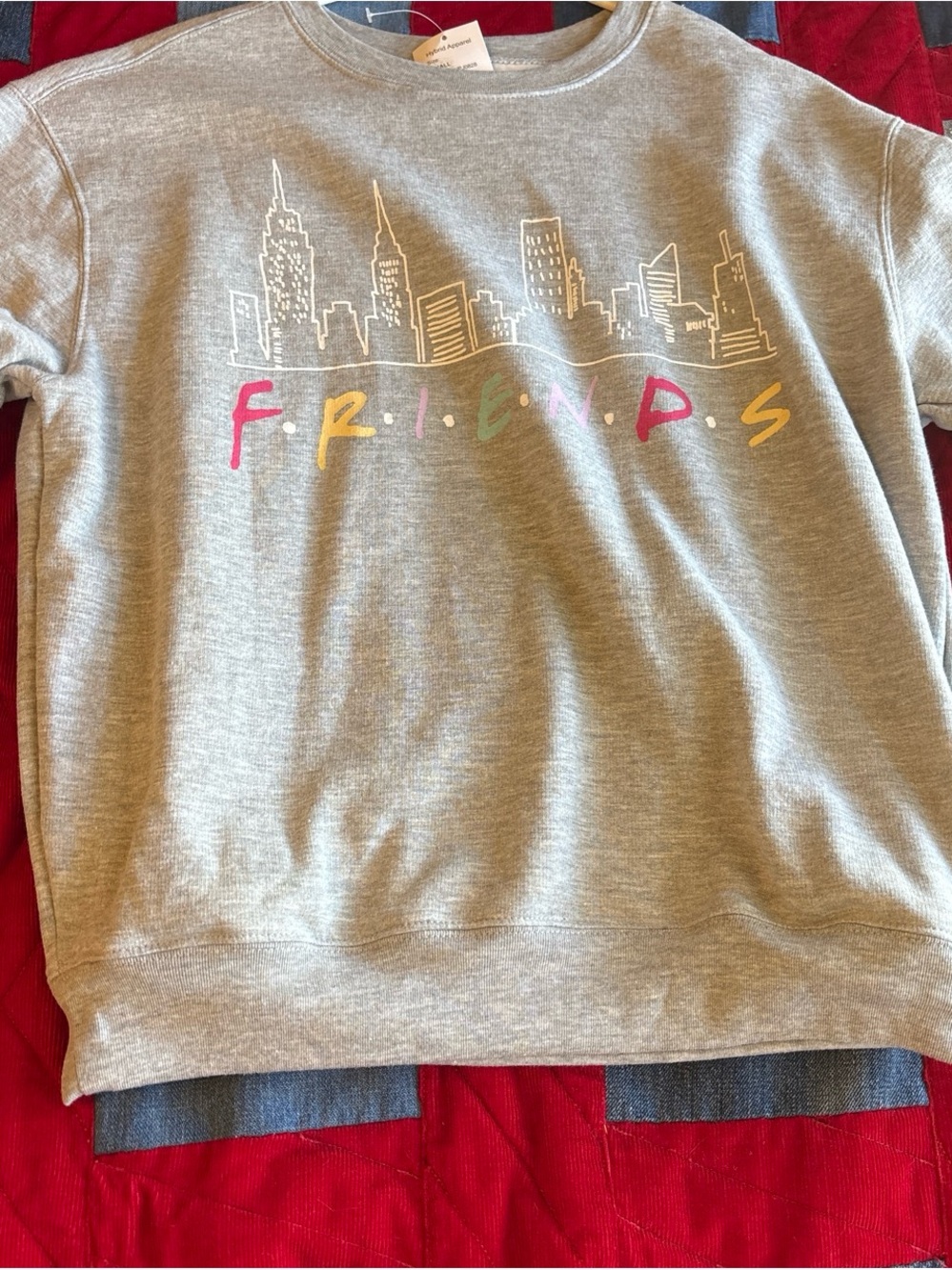 FRIENDS Grey Crewneck Sweatshirt with Multicolor Logo and Skyline